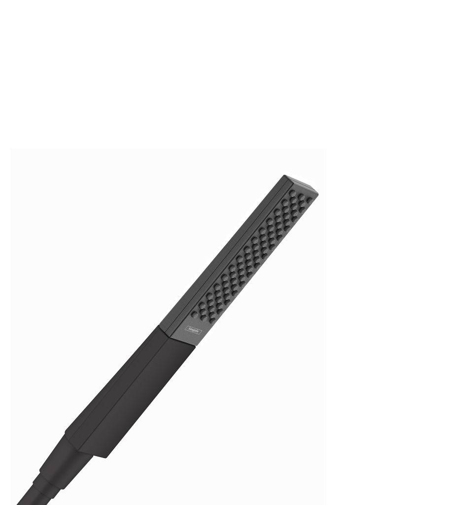 Hansgrohe Rainfinity Stabhandbrause 100 1jet EcoSmart