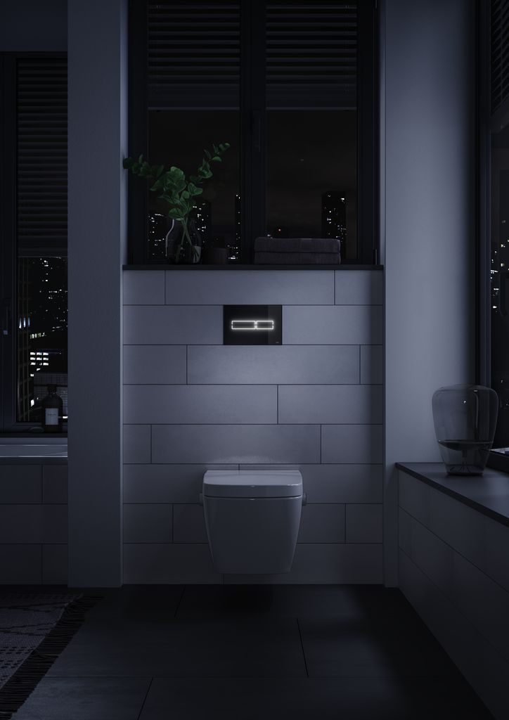 Wandhängendes WC im dunklen Badezimmer mit Pflanze und Nacht