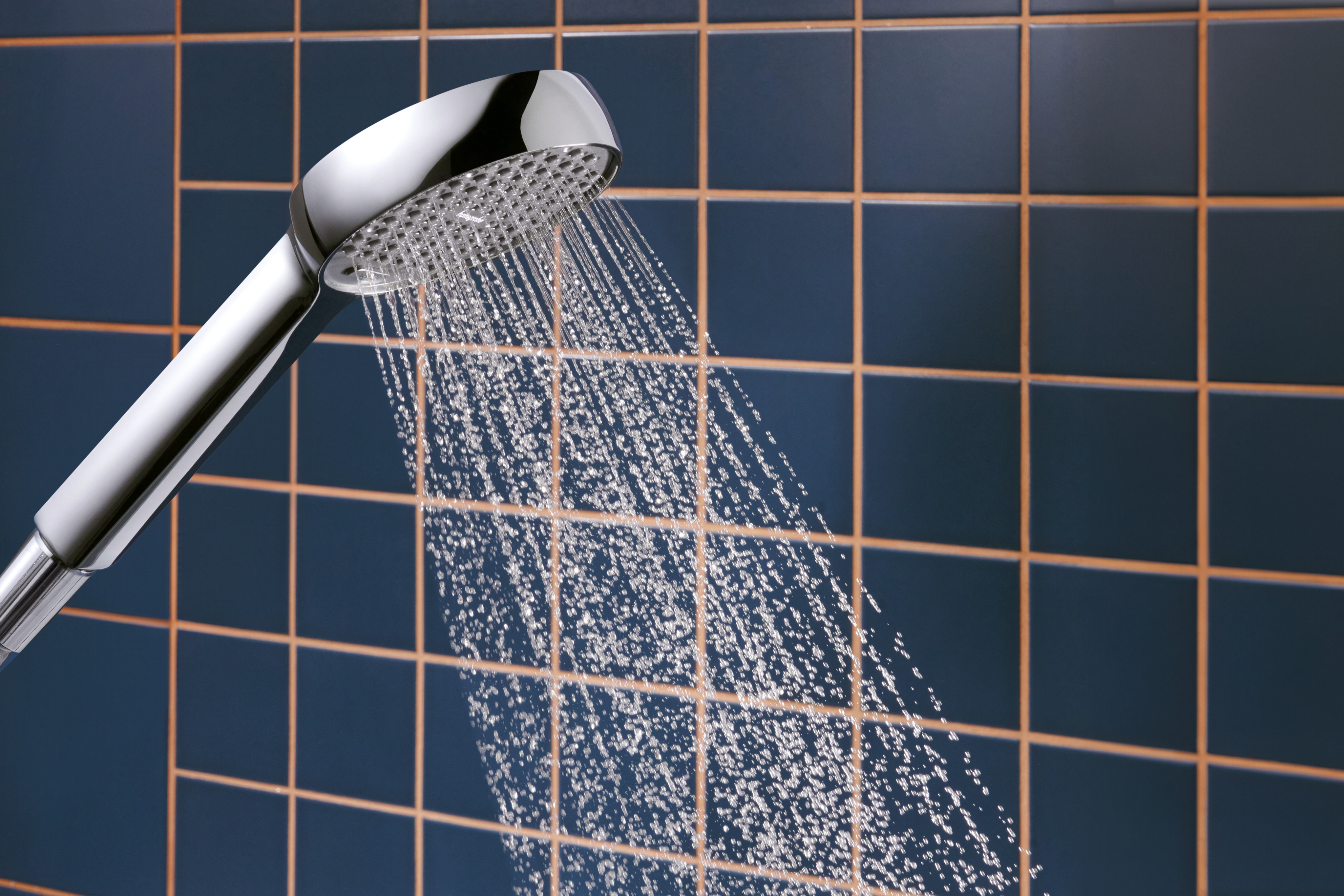 Activera Select S hand shower 95 2 spray modes water-saving