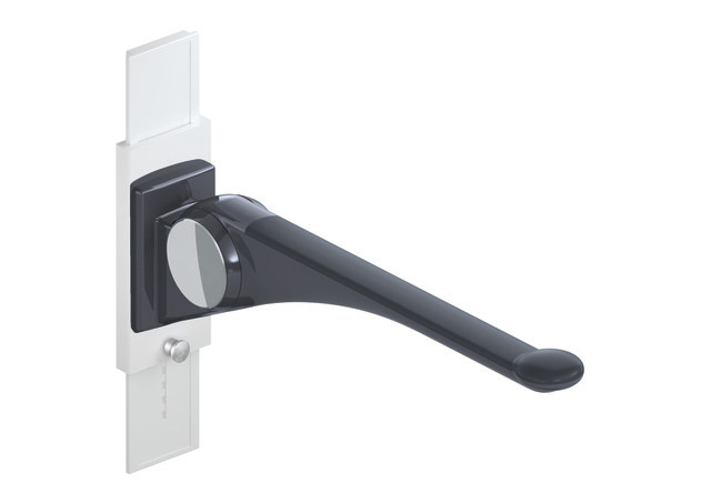 HEWI Serie 802 LifeSystem Stützklappgriff Premium, anthrazit glänzend / anthrazit matt