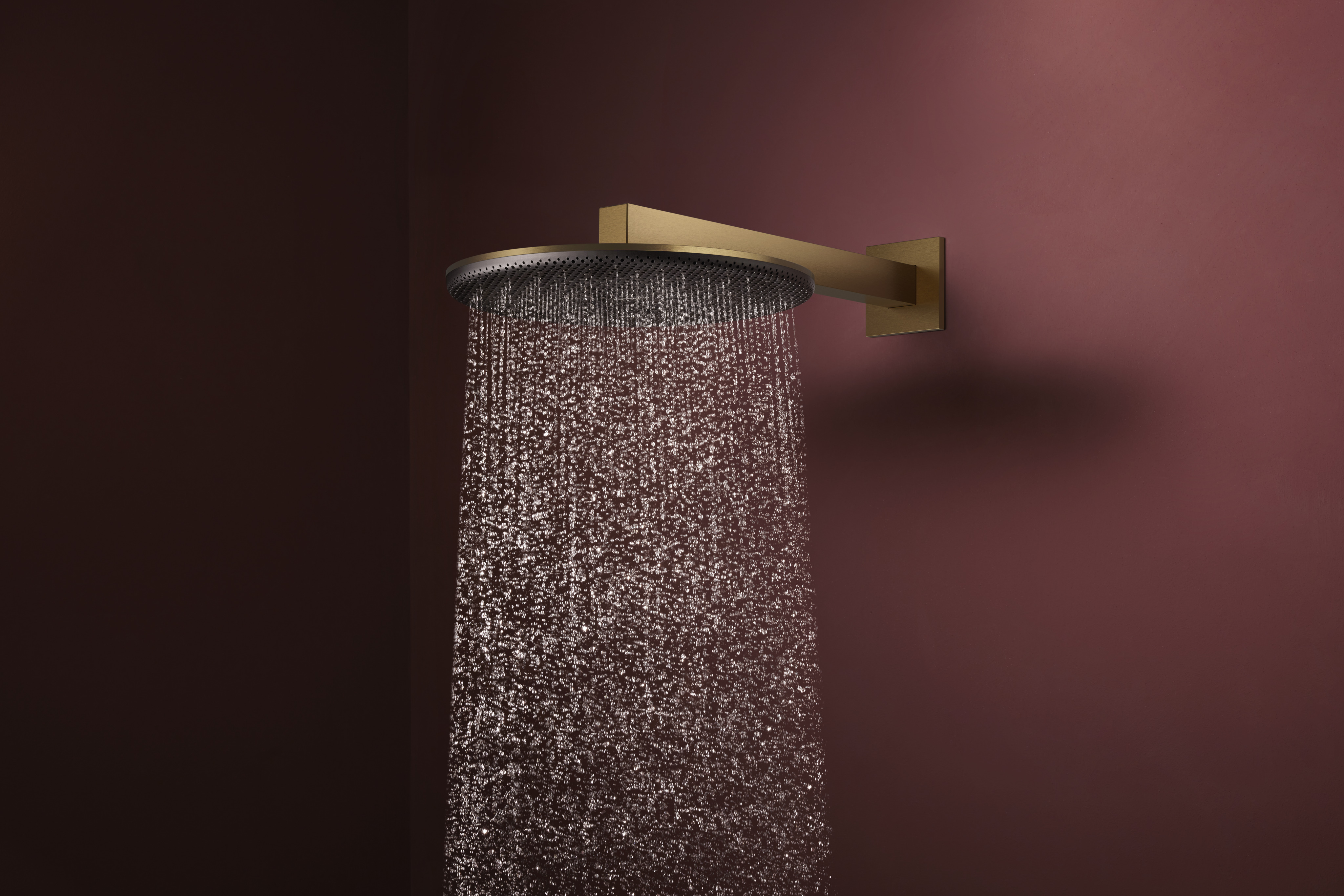 Raindance Alive S shower head 300 1 spray type