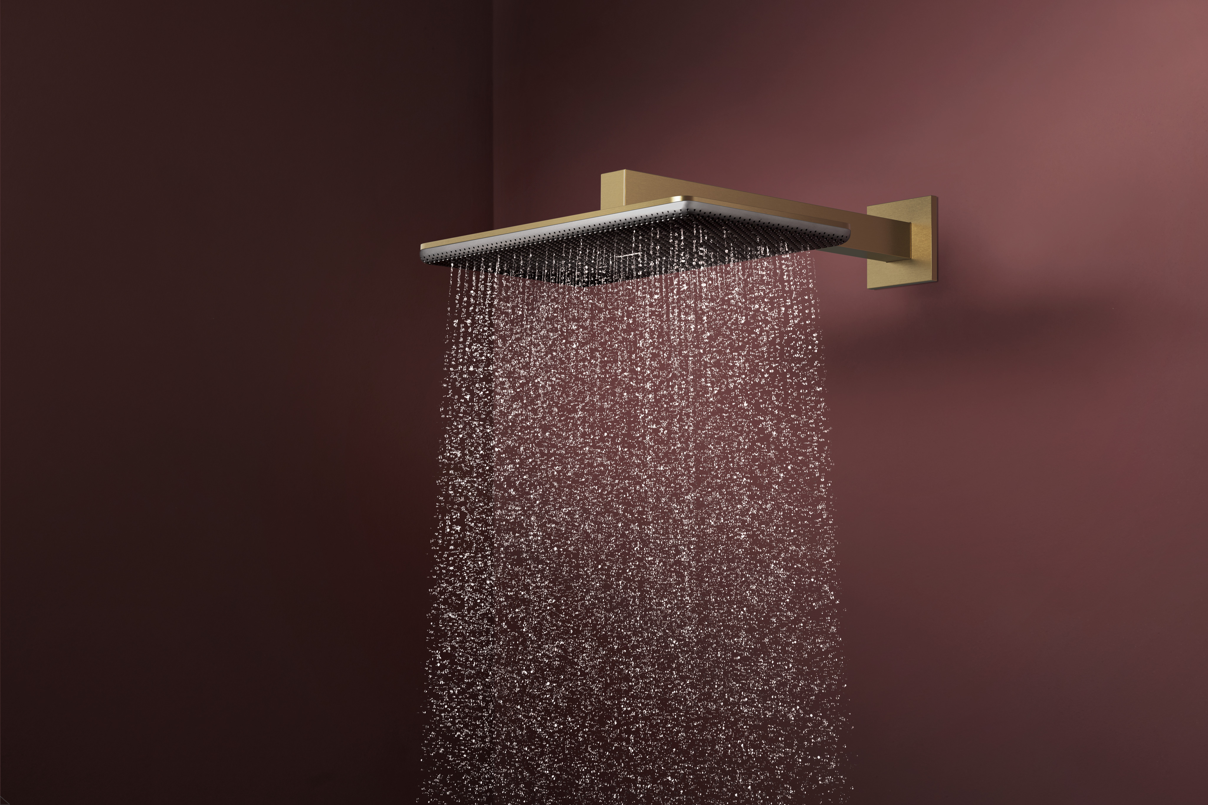 Raindance Alive Q shower head 210/340 2 spray types with shower arm