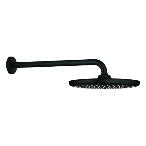 GROHE Tempesta 250 Kopfbrause Wandanschluss