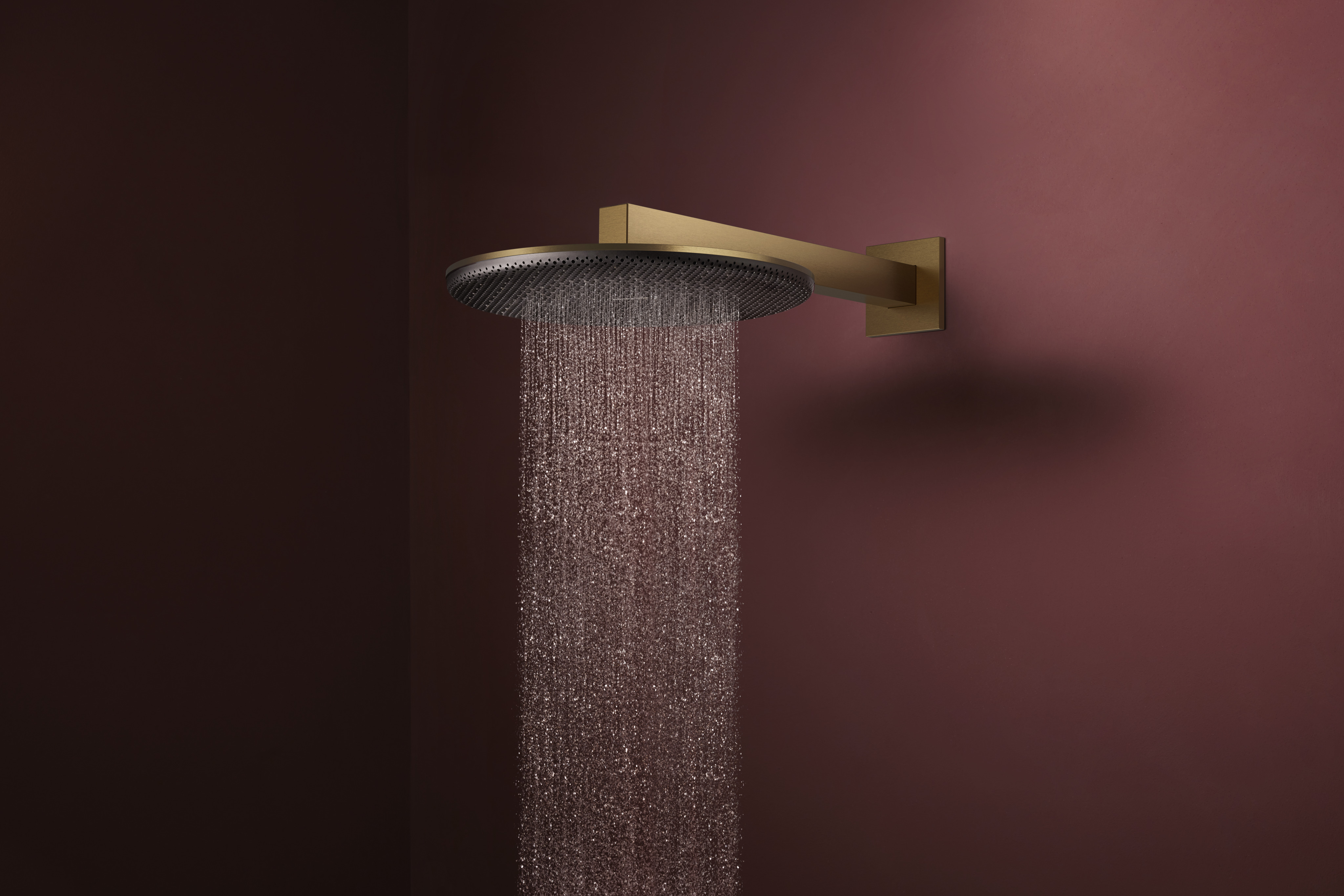 Raindance Alive S shower head 300 1 spray type