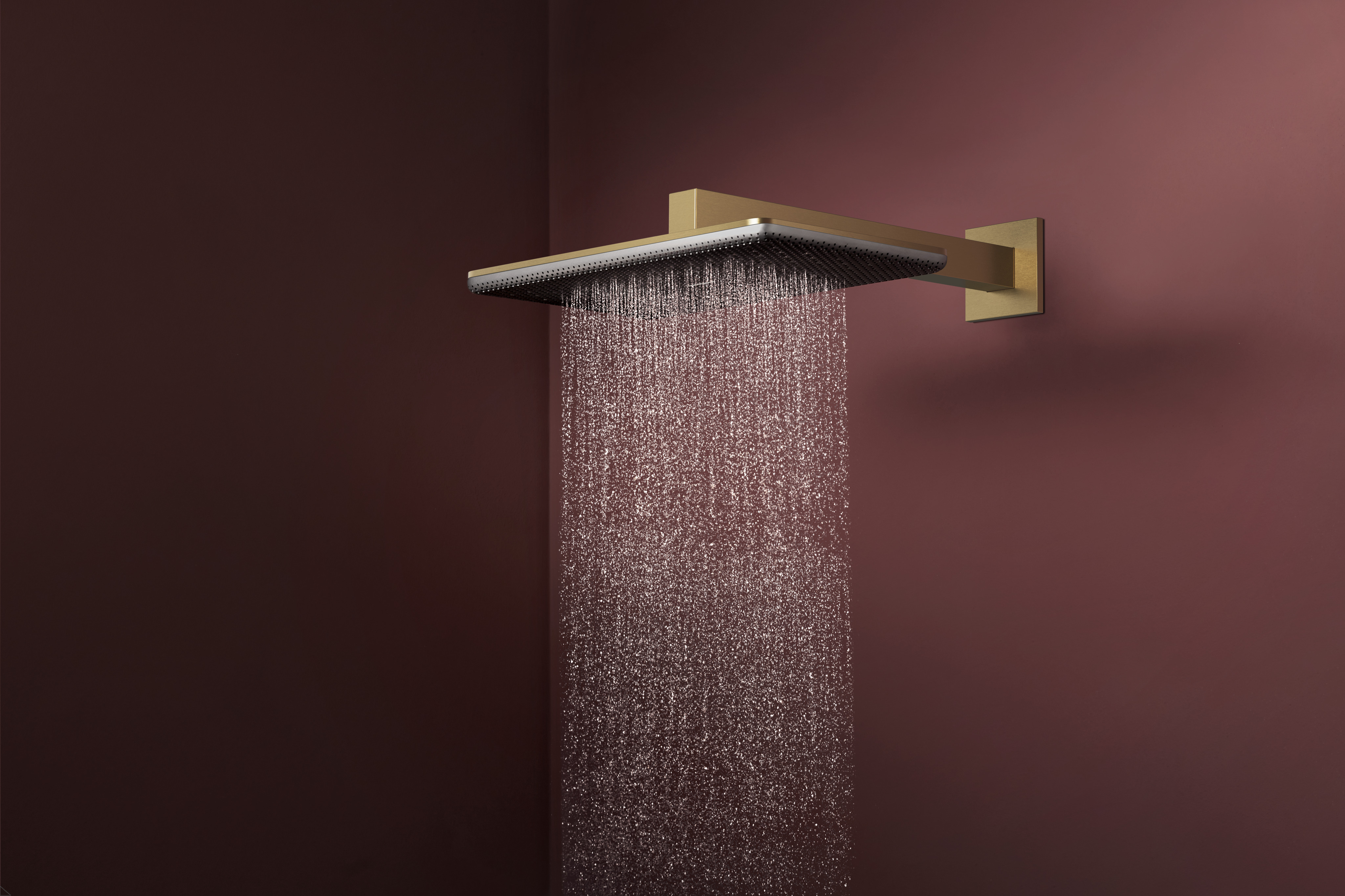 Raindance Alive Q shower head 210/340 2 spray types with shower arm